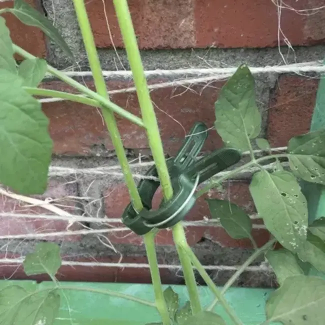 Gardlov Plantenclips Set van 108 - Perfecte Ondersteuning voor Uw Tuin