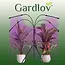 Gardlov LED Groeilamp 20 LED 4 stuks - Voor Hydrocultuur en Kasplanten - Verstelbaar