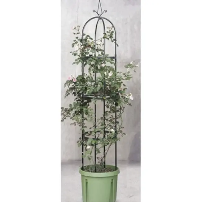 Gardlov Pergola Tuin - Kolomvormig - Donkergroen - Steun voor Klimplanten - 197 x 40 cm