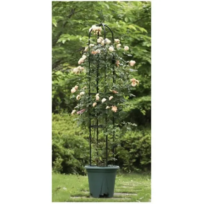 Gardlov Pergola Tuin - Kolomvormig - Donkergroen - Steun voor Klimplanten - 197 x 40 cm