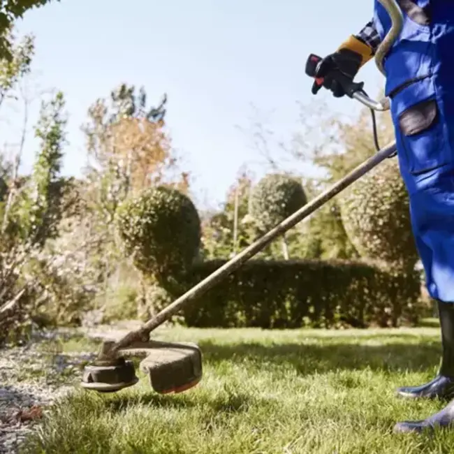 Bigstren Maaidraad 2.4 mm  x 100 meter - Duurzaam en Krachtig voor Alle Bosmaaiers