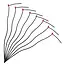 Benson Set elastieken met snelsluiting - 5 mm x 60 cm - set van 8 stuks