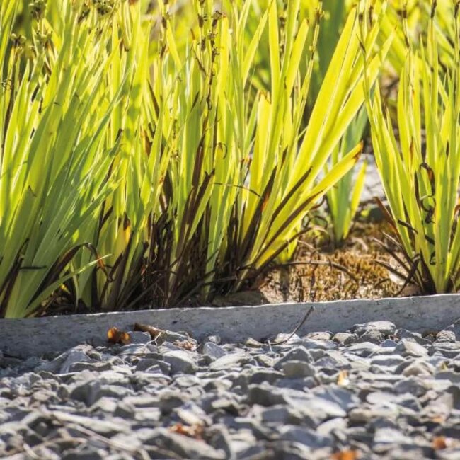 Ecolat Tuinafboording 200 x 14 x 1 cm - Strak en Duurzaam