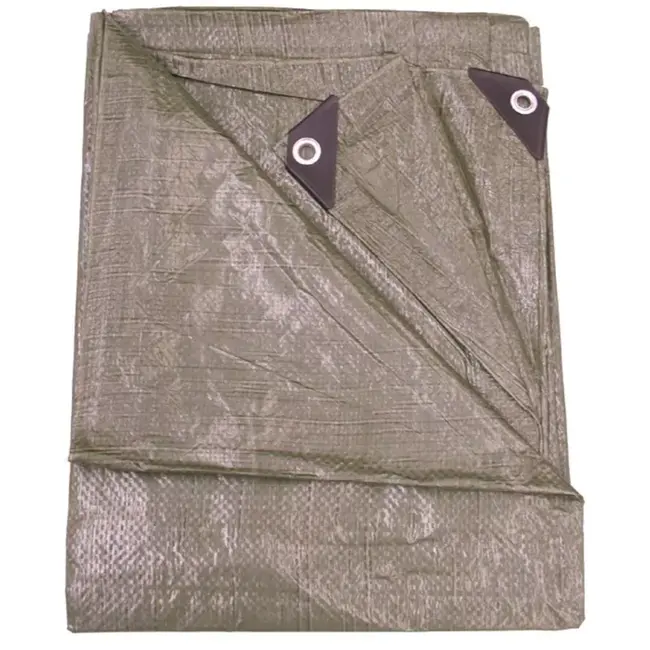 Talen Tools Afdekzeil 90gr/m2 6x10m - Ruim, Groen