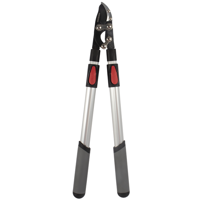 Talen Tools Takkenschaar – Aambeeld – Telescopisch – Premium – 66-99 cm