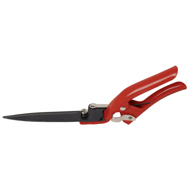 Talen Tools Grasschaar 31 cm - Budgetvriendelijk, Rood
