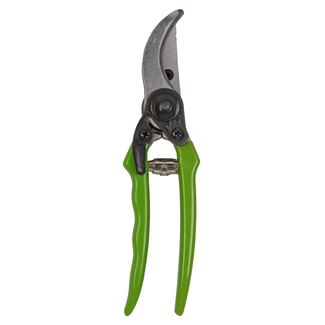 Talen Tools Snoeischaar Budget - Groen