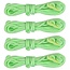 Benson Glow in the Dark scheerlijn - 4x3 meter - Inclusief spanners - Veilig kamperen - Zon-oplaadbaar