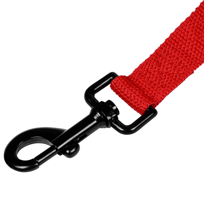 Benson Comfortabele hondenriem - plat nylon - neopreen handvat - 25 mm x 200 cm