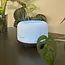 Ruhhy Aroma Diffuser - LED Humidifier 300ml met Afstandsbediening en Geurolie
