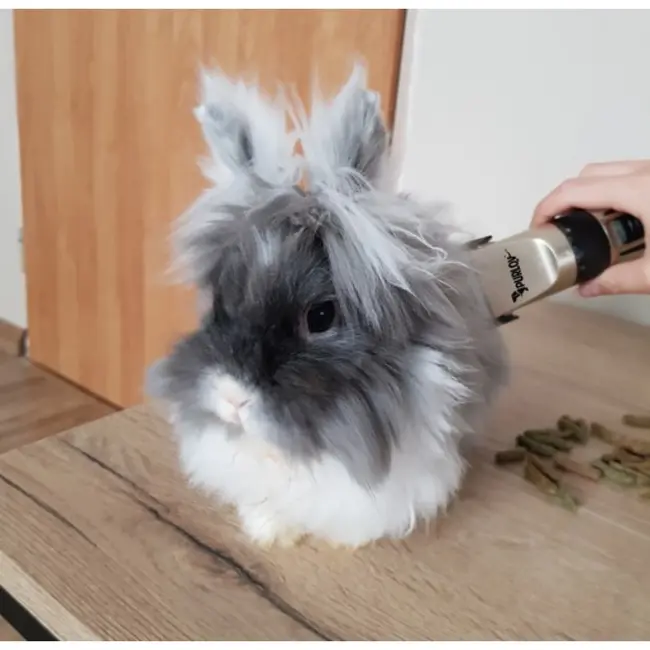 Purlov Honden Tondeuse Set - Stille en USB Oplaadbare Dierenverzorging