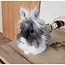 Purlov Honden Tondeuse Set - Stille en USB Oplaadbare Dierenverzorging
