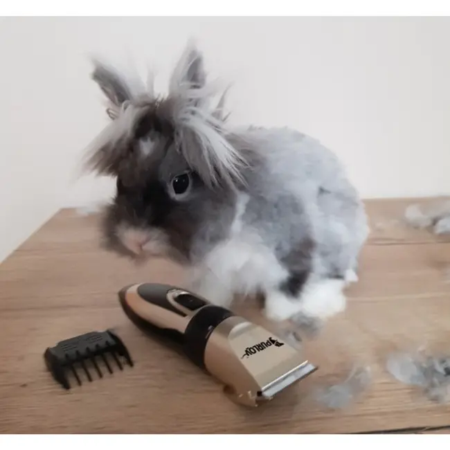 Purlov Honden Tondeuse Set - Stille en USB Oplaadbare Dierenverzorging