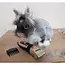 Purlov Honden Tondeuse Set - Stille en USB Oplaadbare Dierenverzorging