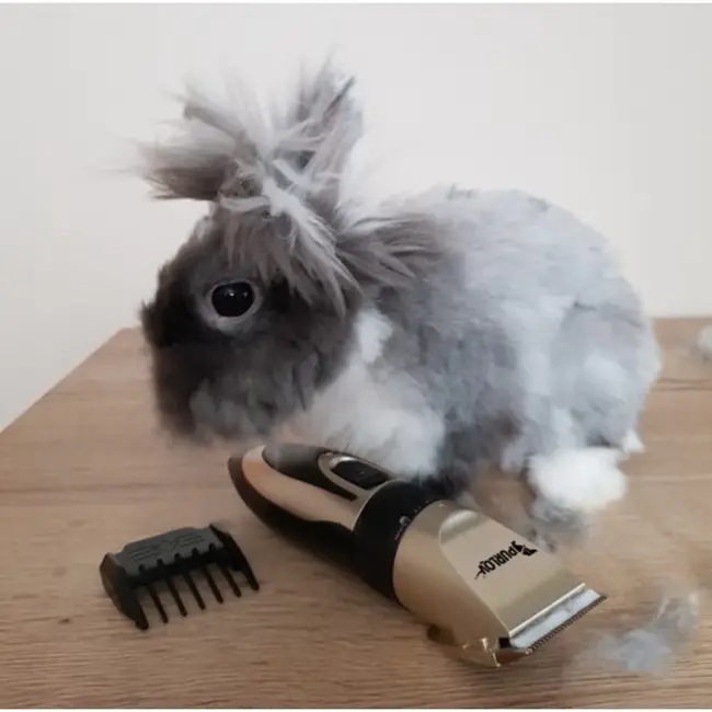 Purlov Honden Tondeuse Set - Stille en USB Oplaadbare Dierenverzorging