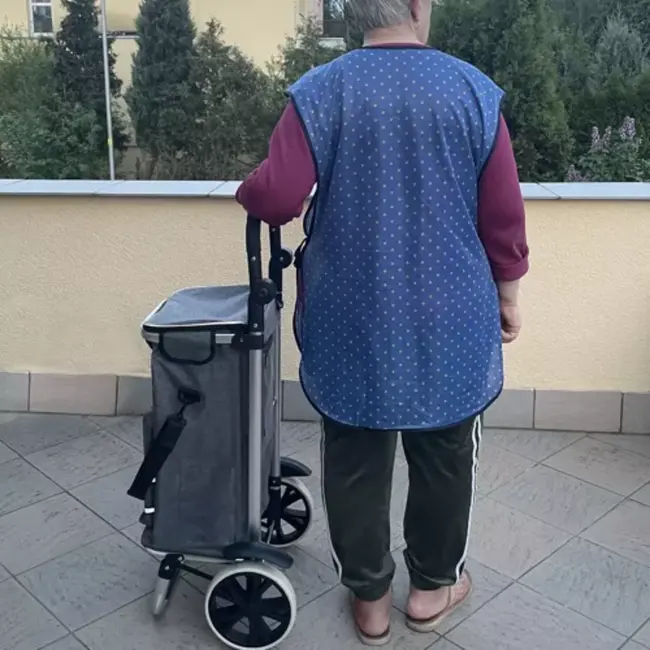 Gardlov Grote boodschappentrolley met schuimwielen - dagelijks gebruik