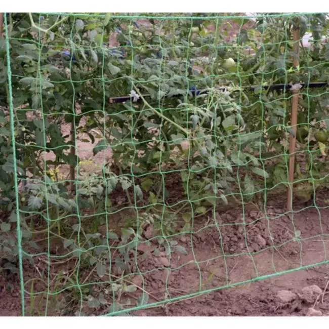 Gardlov Versterkt groen net voor verticale groei klimplanten - 2x10m