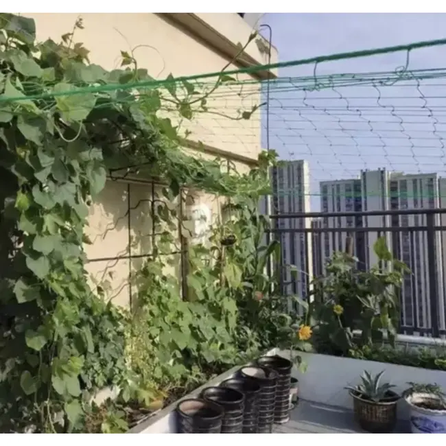 Gardlov Versterkt groen net voor verticale groei klimplanten - 2x10m