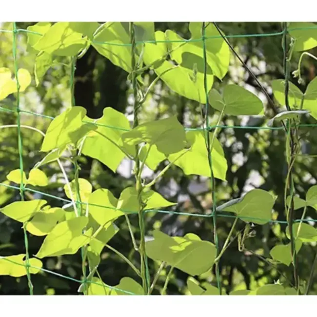Gardlov Versterkt groen net voor verticale groei klimplanten - 2x10m