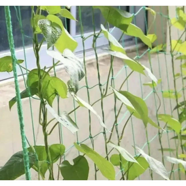 Gardlov Versterkt groen net voor verticale groei klimplanten - 2x20m