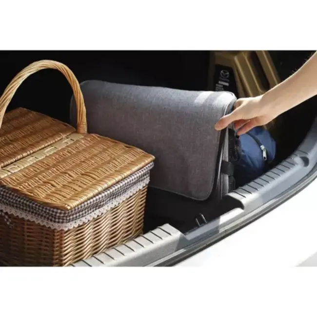 Trizand Hoogwaardige 20L Thermische Tas voor Koele Drankjes en Snacks