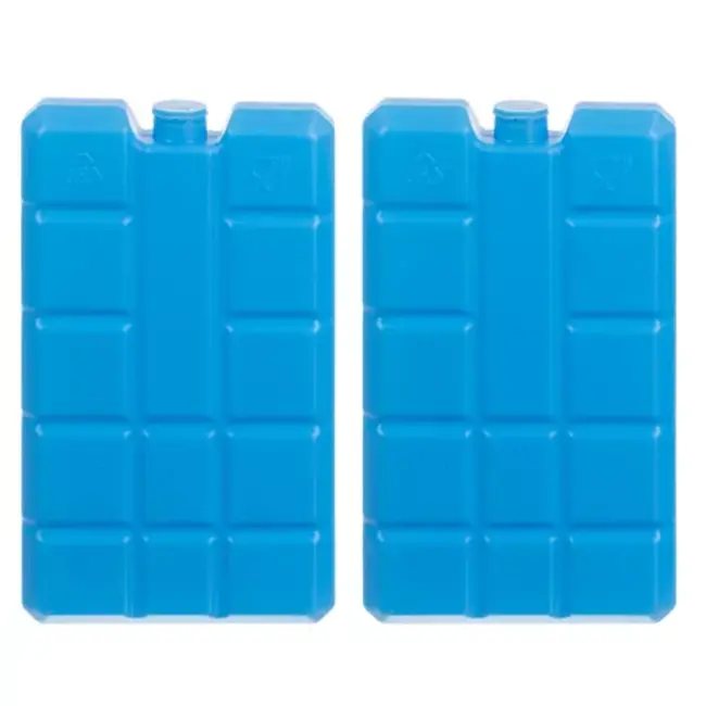 Trizand Hoogwaardige 20L Thermische Tas voor Koele Drankjes en Snacks