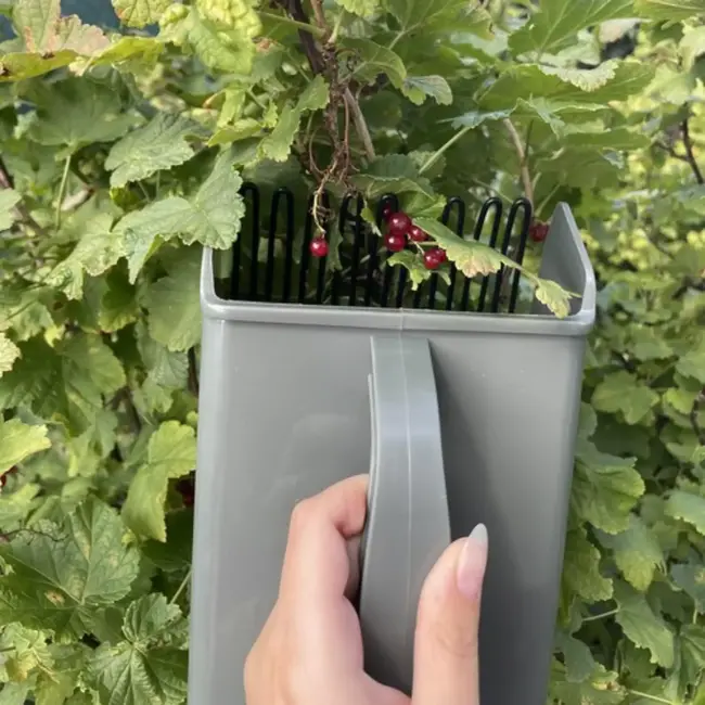 Gardlov Handmatige Fruitplukker – Efficiënt Plukken zonder Planten te Beschadigen