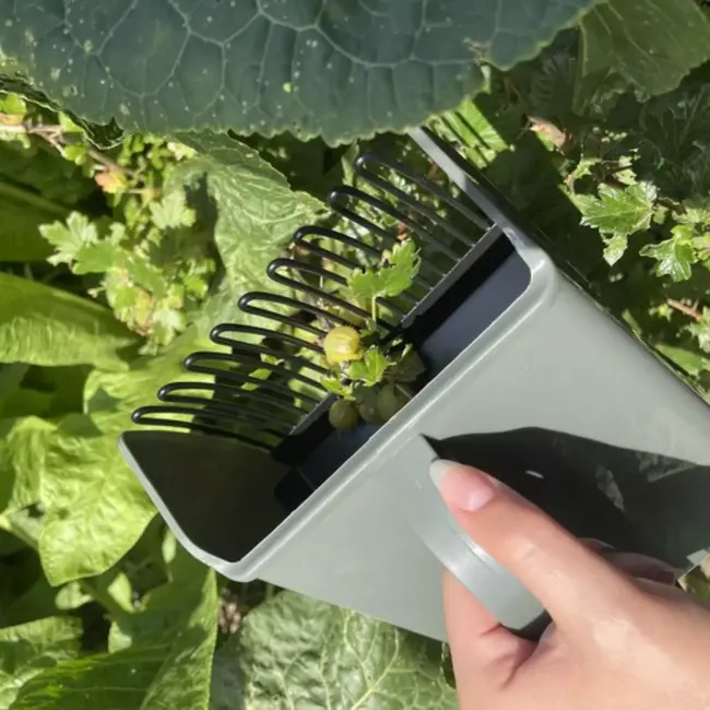Gardlov Handmatige Fruitplukker – Efficiënt Plukken zonder Planten te Beschadigen