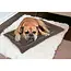 Purlov Dierenbed - Donkerbruin - 77 x 59 cm - Voor Honden, Katten en Konijnen