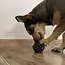Purlov Hondenspeelgoed Set - 10-delig - Interactieve en Duurzame Speeltjes voor Honden