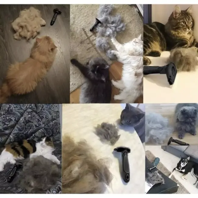 Purlov Anti-Verharingsborstel voor Huisdieren - Ergonomisch en Duurzaam