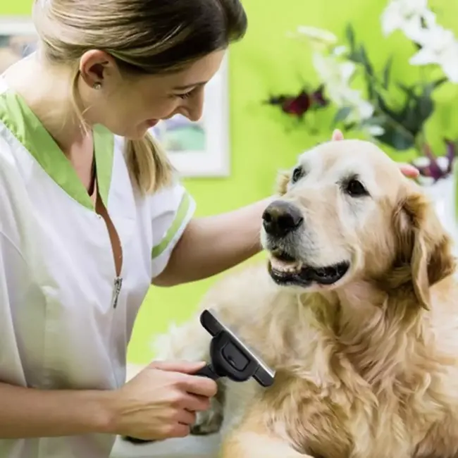 Purlov Anti-Verharingsborstel voor Huisdieren - Ergonomisch en Duurzaam