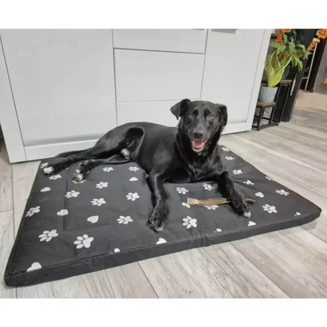 Purlov Hondenmand 100x70cm - Waterdicht - Geschikt voor Grote Honden