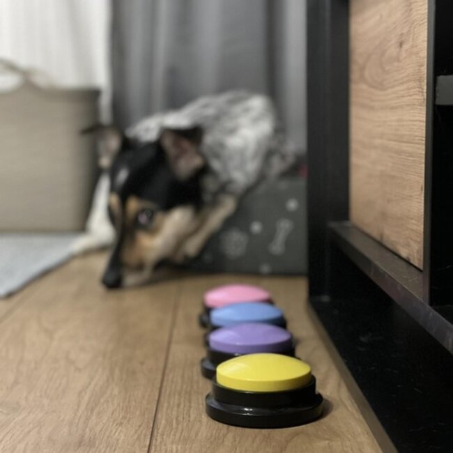 Purlov Spraakknoppen voor Honden - Meerdere Kleuren - 4 Stuks - Helder Geluid en Gemakkelijk Leren