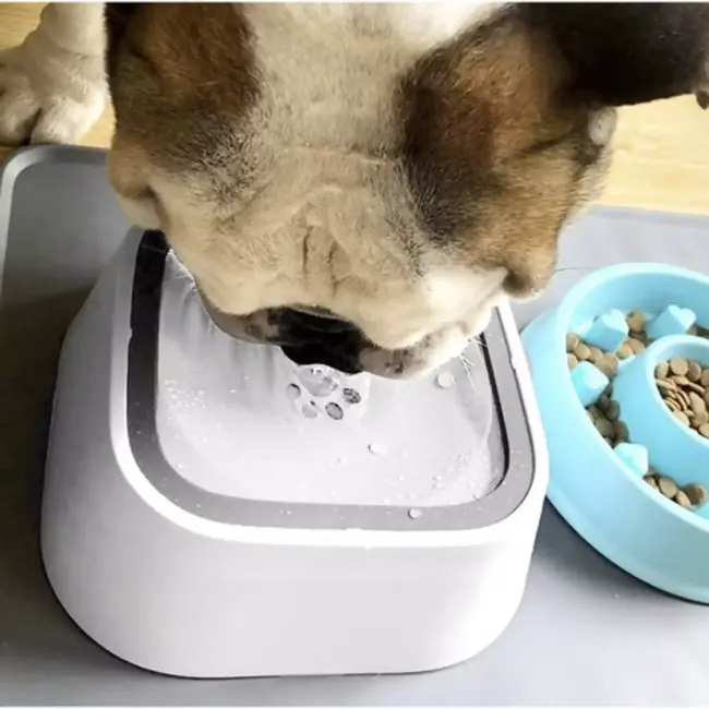 Purlov Waterschaal Huisdieren - Niet-Morsend - 1,5 Liter - Inclusief Siliconen Kom