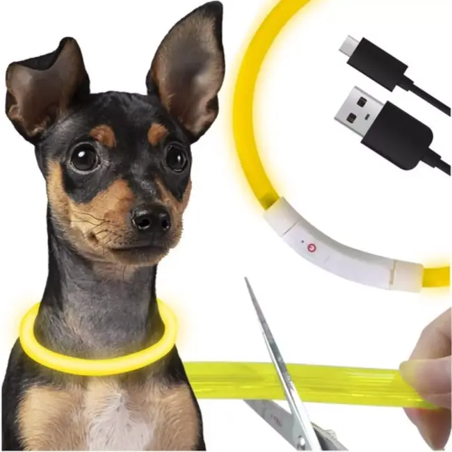 Purlov LED Halsband Huisdieren - Verstelbaar - Waterdicht - USB Oplaadbaar