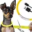 Purlov LED Halsband Huisdieren - Verstelbaar - Waterdicht - USB Oplaadbaar