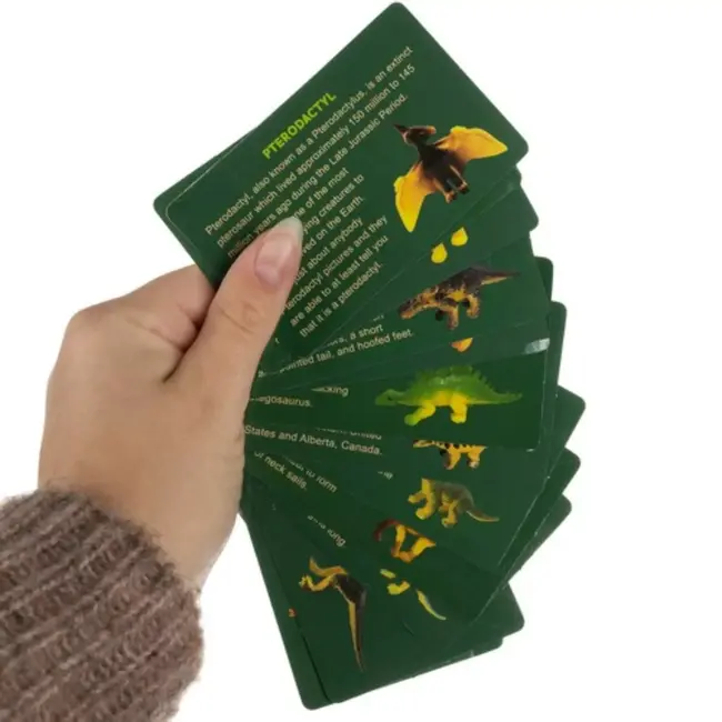 Kruzzel Dinosaur Mine - 12 Opgravingsset voor Kinderen - Educatief Speelgoed