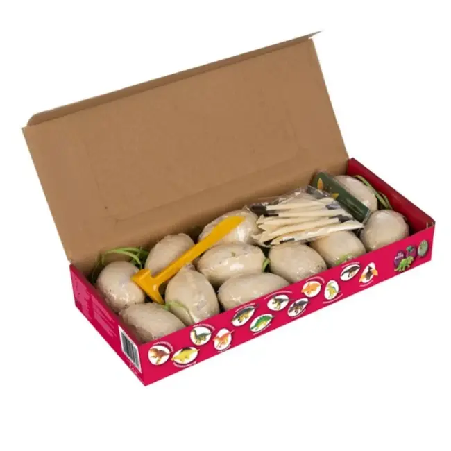 Kruzzel Dinosaur Mine - 12 Opgravingsset voor Kinderen - Educatief Speelgoed