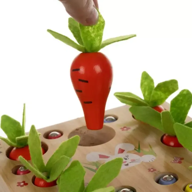 Kruzzel Houten 2-in-1 Spel - Educatief & Interactief - Worteltuin voor Kinderen