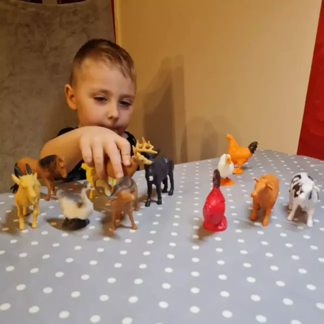 Kruzzel Boerderijdieren Set - 12 Figuren - Educatief en Realistisch Speelgoed