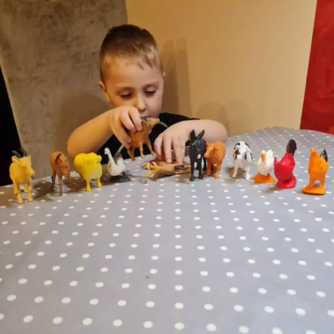 Kruzzel Boerderijdieren Set - 12 Figuren - Educatief en Realistisch Speelgoed