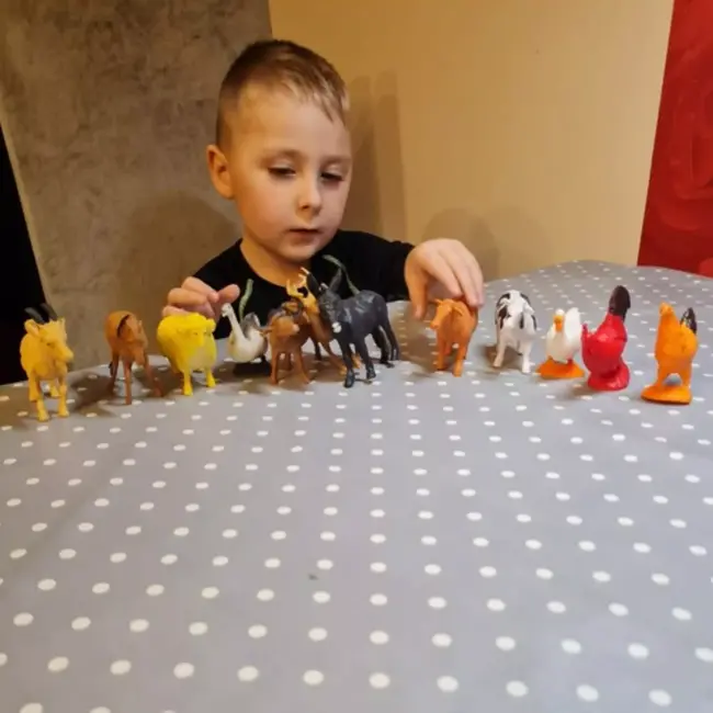 Kruzzel Boerderijdieren Set - 12 Figuren - Educatief en Realistisch Speelgoed