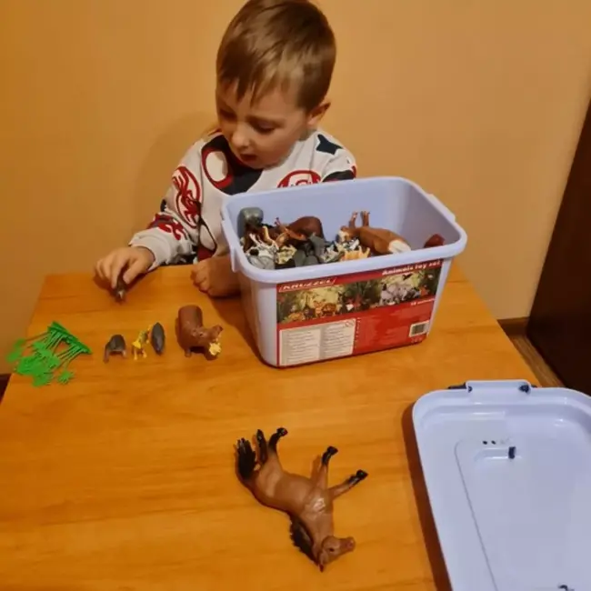 Kruzzel Dieren Speelset – 48 Figuren met Koffer – Educatief Speelgoed