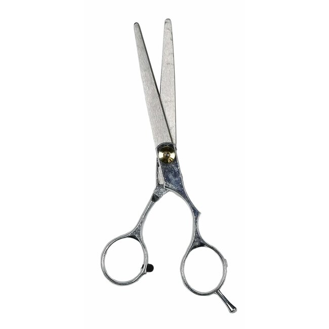 Benson Professionele kappersschaar - RVS 3Cr13 - 15 cm - Ergonomisch ontwerp