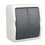 Ratio Dubbele opbouwschakelaar - spatwaterdicht IP54 - grijs/wit