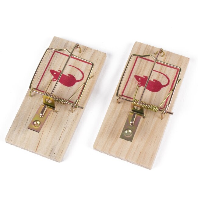 Benson Houten muizenvallen - 10 x 5 x 1 cm - Set van 2 - Snel en effectief