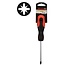 Benson Kruiskopschroevendraaier - PZ2 - Chroom-vanadiumstaal - 100 mm - Rood