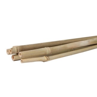 Talen Tools Bamboestok – 150 cm – 4 stuks – Natuurlijke plantensteun Talen Tools Bamboestok – 150 cm – 4 stuks – Natuurlijke plantensteun