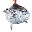 Kruzzel Pluche Zeehond – 60 cm Grote Knuffel met Hoogwaardige Afwerking